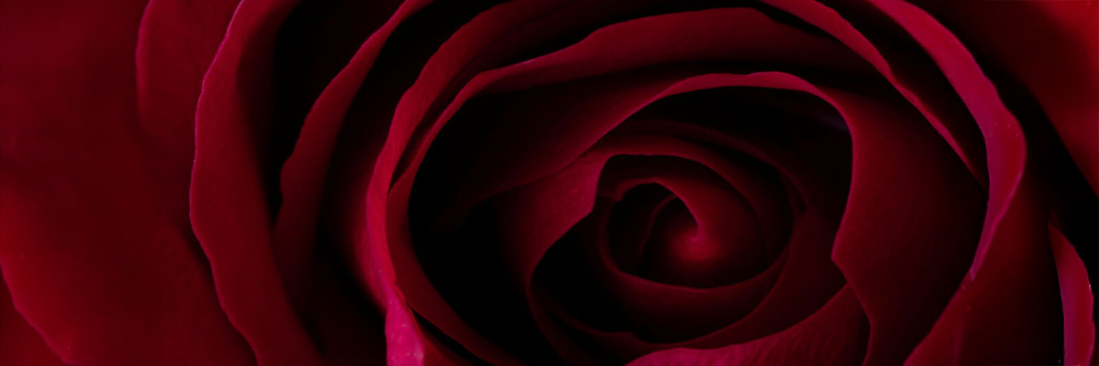 inscription cd87427e10dee418d34902baea7a7bb34077d16dbfe2801425ca67bee156c8eci0